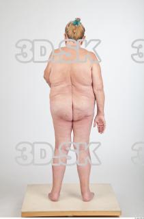 Body texture of Shelia 0033